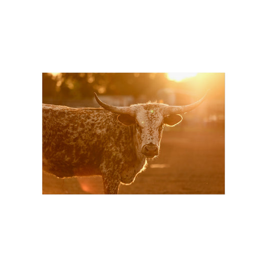 Speckled Sunset- Fine Art Print (Matte)