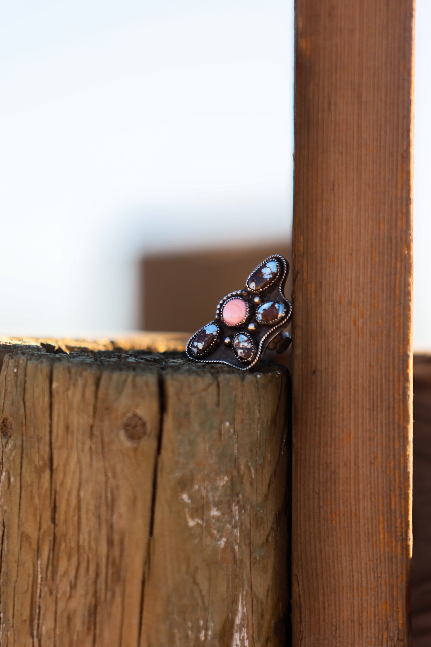 The Dolly Ring