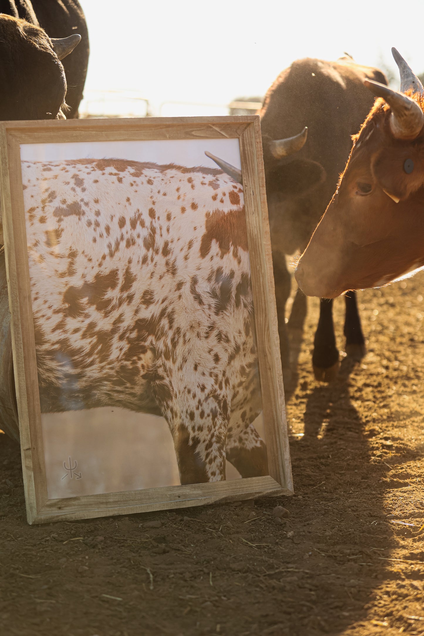 Speckled Heifer Print– Western Fine Art Print | Rustic Cow Wall Decor | Ranch House Aesthetic Photo by Chase Templeton Photography