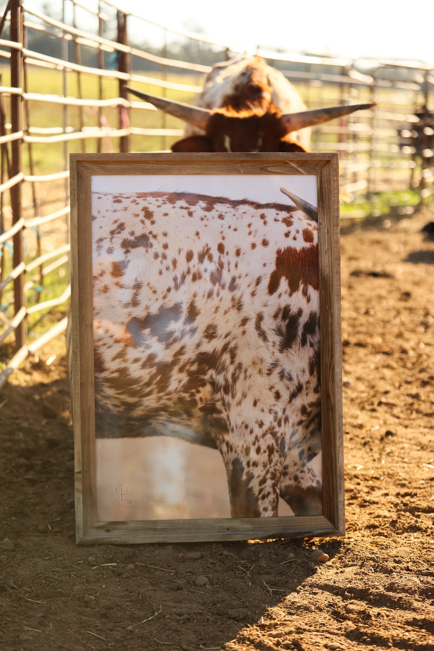 Speckled Heifer Print– Western Fine Art Print | Rustic Cow Wall Decor | Ranch House Aesthetic Photo by Chase Templeton Photography